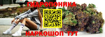 эйфоретик Гусев