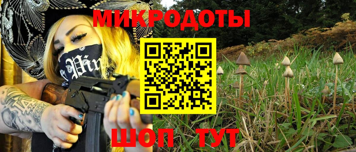 Менделеевск  Галлюциногенные грибы Psilocybine cubensis  Вход с VPN  Галлюциногенные грибы мицелий 
