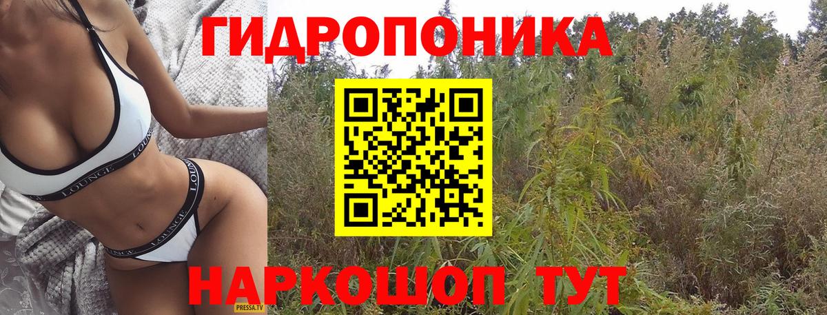 Канабис план  Конопля THC 21%  Вход с VPN  Менделеевск 